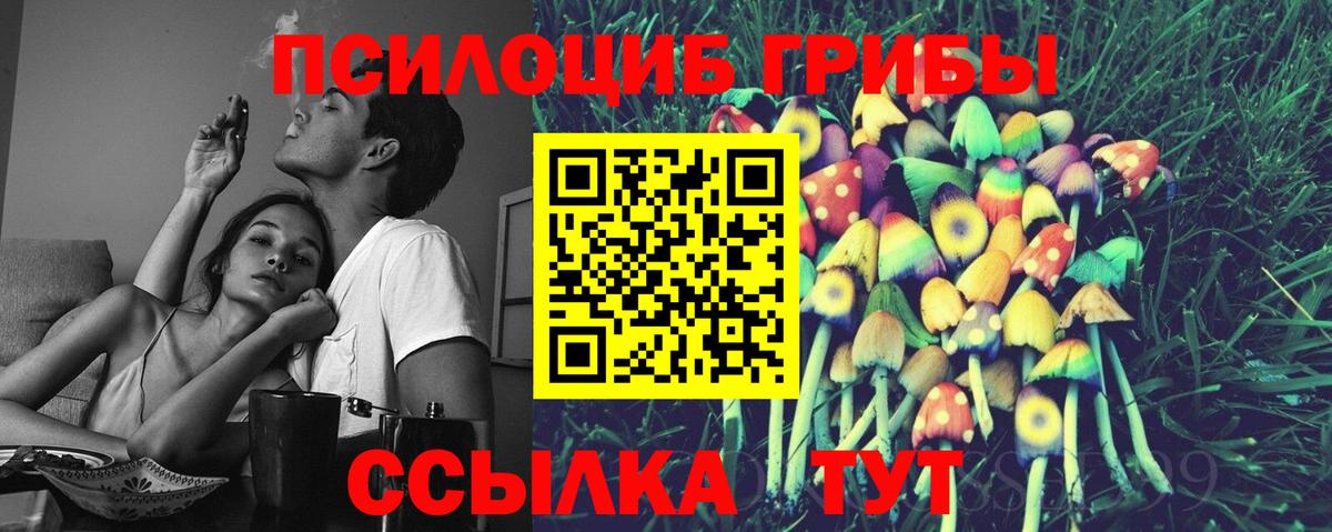Асино  Псилоцибиновые грибы мицелий  Галлюциногенные грибы MAGIC MUSHROOMS  Вход с VPN 