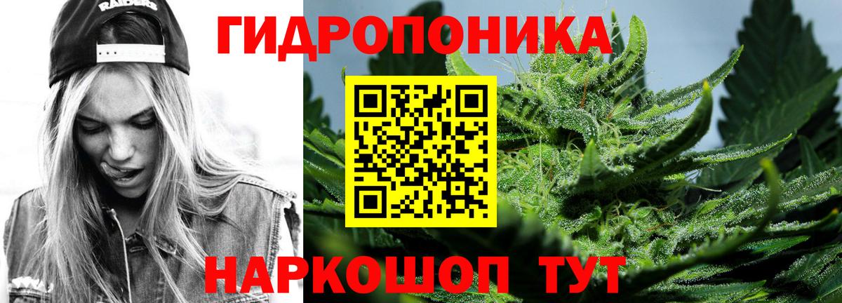 Асино  Канабис сатива  Вход с VPN  Шишки марихуана AK-47 
